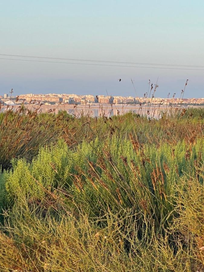 Exclusivo Y * Torrevieja