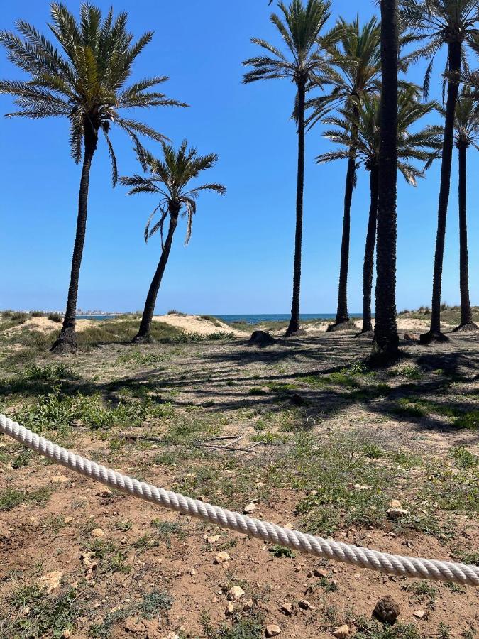 Exclusivo Y Torrevieja